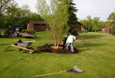 Residential – Landscape Management Services in RI