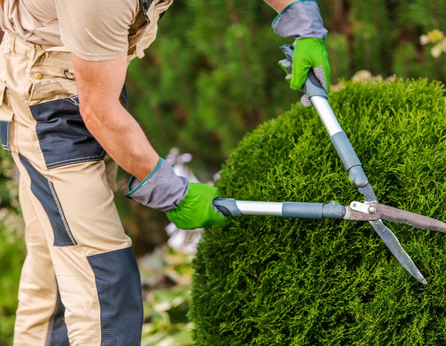 professional landscaping irrigation services in rhode island for over 25 years. 033